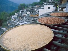 -婺源风景区