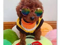 -爱诺动物医院(崂山店)