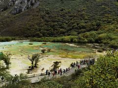 -黄龙山原始森林景区