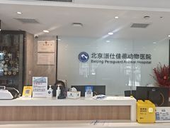 -北京派仕佳德动物医院·超导核磁·CT·神经科·骨科·内外科·急重症管理中心