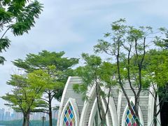 -顺峰山公园