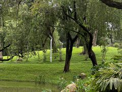 -人民公园(罗湖区)