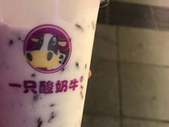 -一只酸奶牛(八一路店)