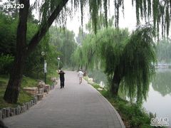 -紫竹院公园冰场