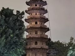 -青藏高原野生动物园