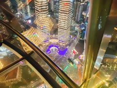 -东方明珠259米全透明悬空观光廊