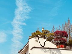-龙华寺
