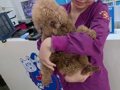 -暖阳宠物医院·犬猫康复中心·骨科