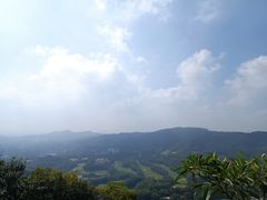 -大屏嶂森林公园