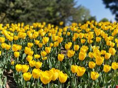 -长春公园(普阳街道)