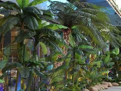 -驻海渔市(置信店)