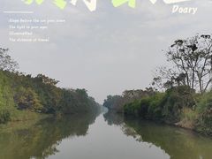 -大湾区中央湿地公园
