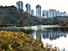 -重庆彩云湖湿地公园