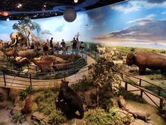 -陕西自然博物馆