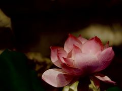 -苏浙徽·江南荟·本味融合菜(相城方圆里店)