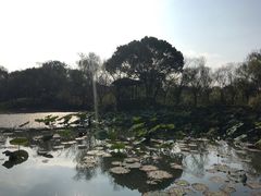 -西溪国家湿地公园