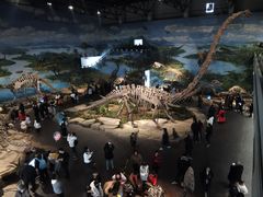 -自贡恐龙博物馆