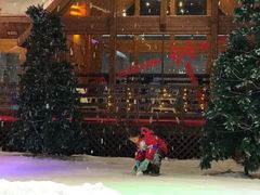 -宁波冰雪大世界(北仑区)