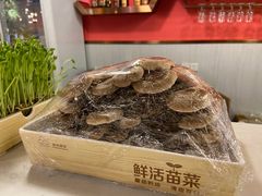 -辛香汇(飞洲店)
