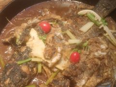 -老板恋上鱼(印象城店)