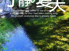 -云岫谷游猎自然风景区