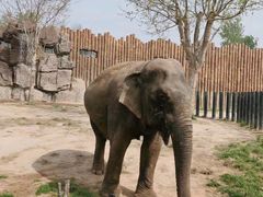 -济南野生动物世界