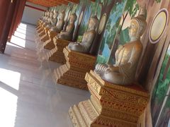 -西双版纳勐泐文化旅游区