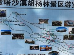 -金塔沙漠胡杨林景区