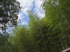 -黄公望隐居地