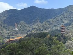 -深圳仙湖植物园