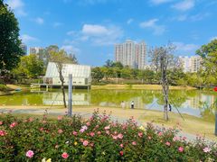 -香蜜公园