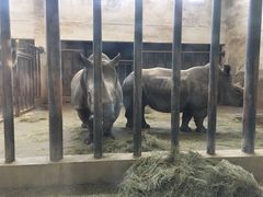 -石家庄市动物园