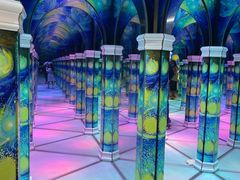 -天津梵高星空艺术馆(天河城旗舰店)