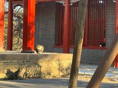 -沈阳市东陵公园
