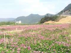 -泽雅景区
