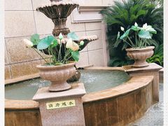-月圆霖特色农家乐