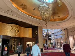 -拉斯维加斯永利酒店