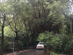 -安飞驰驾校·学车连锁(金高店)