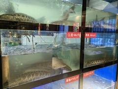 -万和源炝锅城·活鱼现炝(文艺北路店)