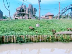 -上海野生动物园