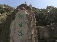 -梧桐山风景名胜区