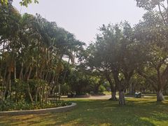 -万绿园