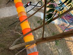 -清远熹乐谷温泉度假酒店