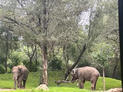 -北京野生动物园