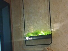 -新紫霞养生·影院足道·SPA(金山区店)