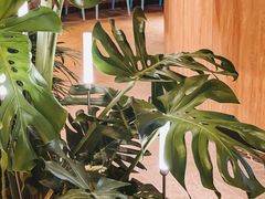 -润园四季椰子鸡火锅(南山海岸城店)