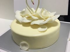 -BLACKSWAN黑天鹅(环球店)