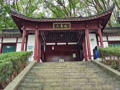 -上海佘山国家森林公园天马山园