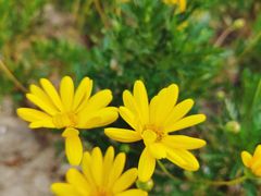 -昆山城市生态森林公园