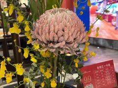 -悦秀·高级粤菜